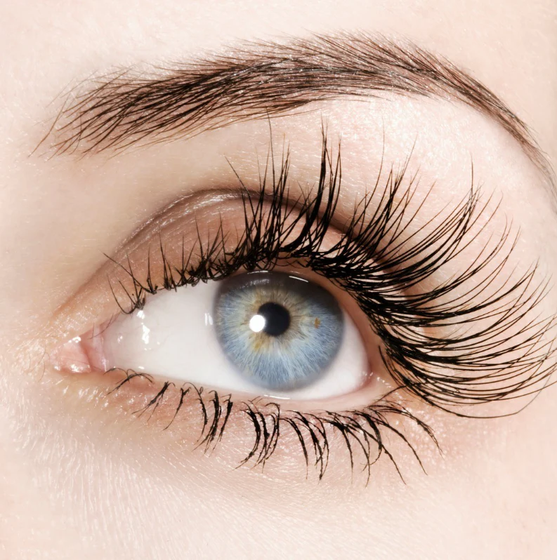 Talika Eyebrow Lipocils máscara crecimiento de pestañas MARRÓN 8.5 ml - Image 5
