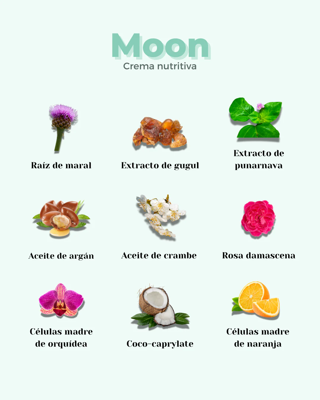 Banbu Crema facial nutritiva Well Aging Moon 50 ml - Image 4