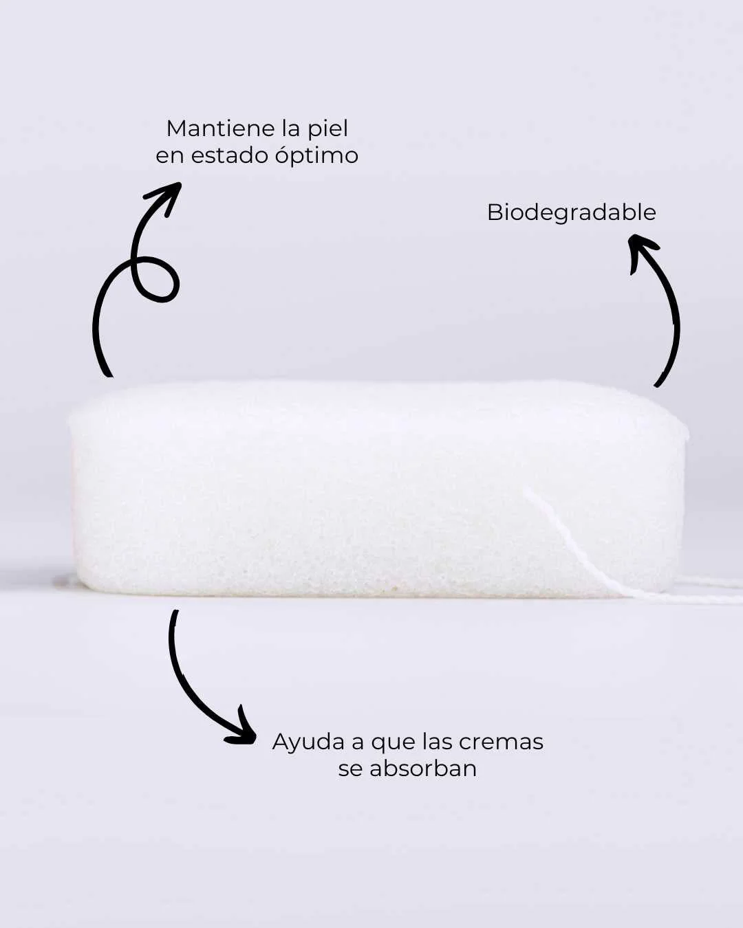 Banbu Esponja konjac corporal purificante - Image 3
