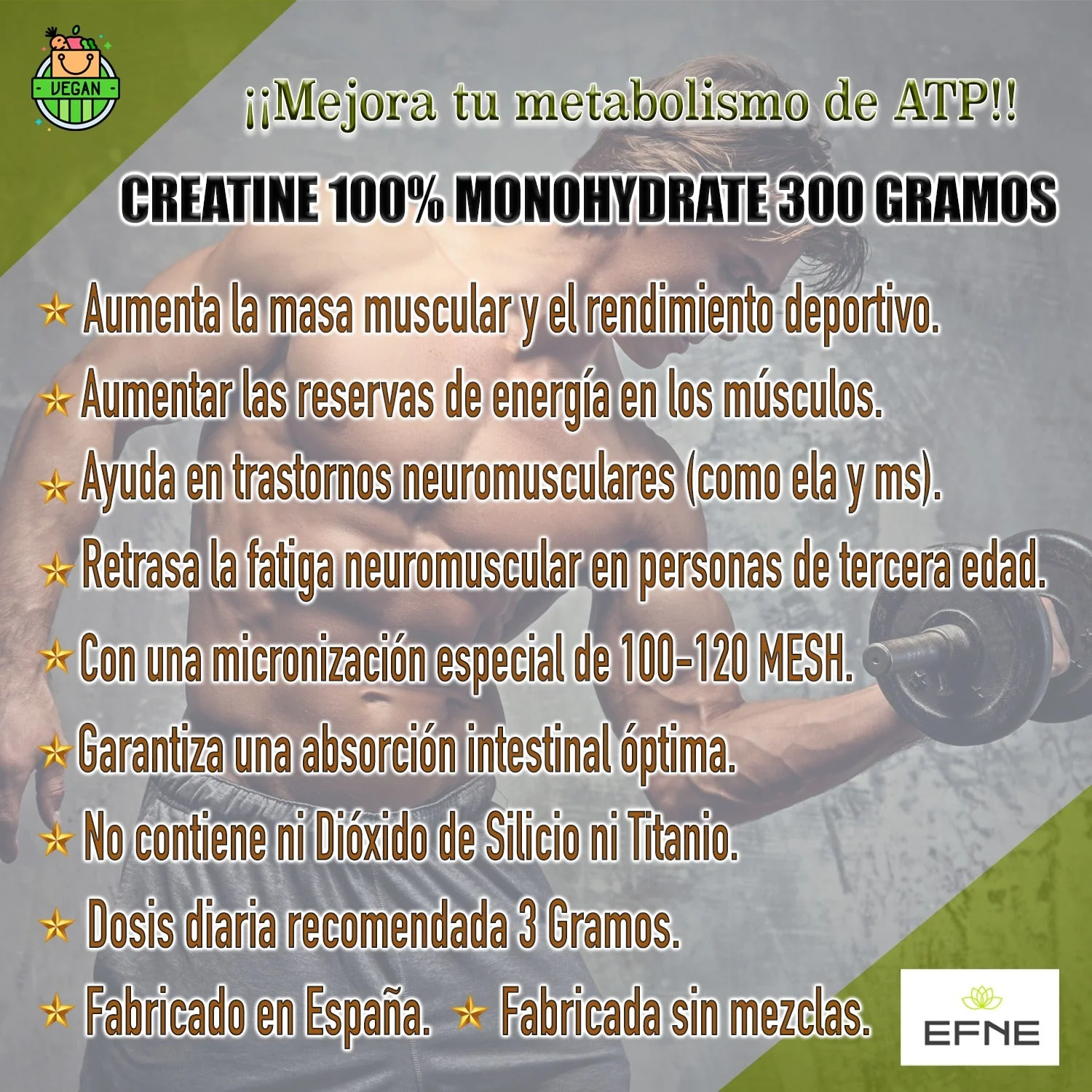 Efne Creatina monohidrato 300 g - Image 3