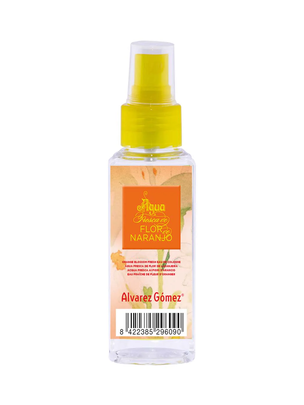 Álvarez Gómez Colonia Flor de Naranjo - Image 2