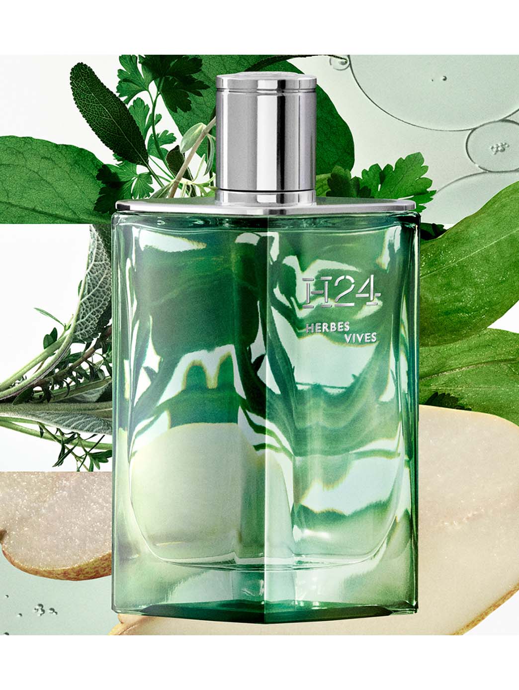 H24 Herbes vives - Image 4