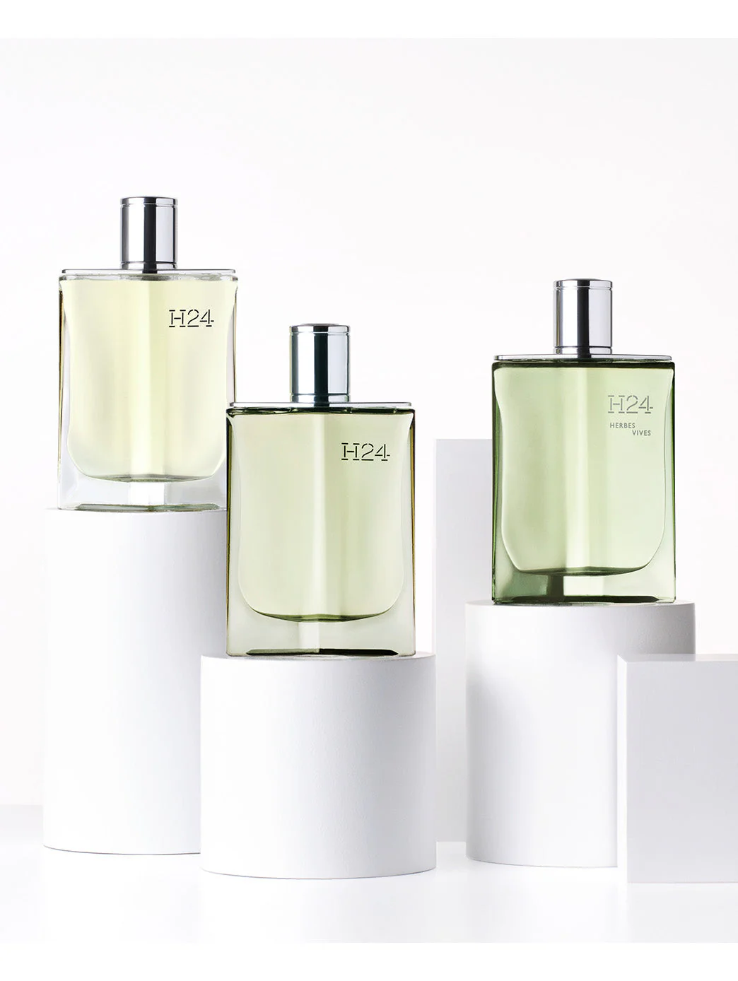 H24 Herbes vives - Image 6