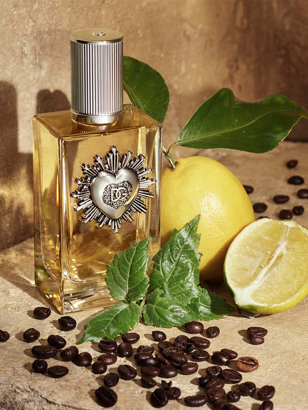D&G Devotion pour homme EDP - Image 3
