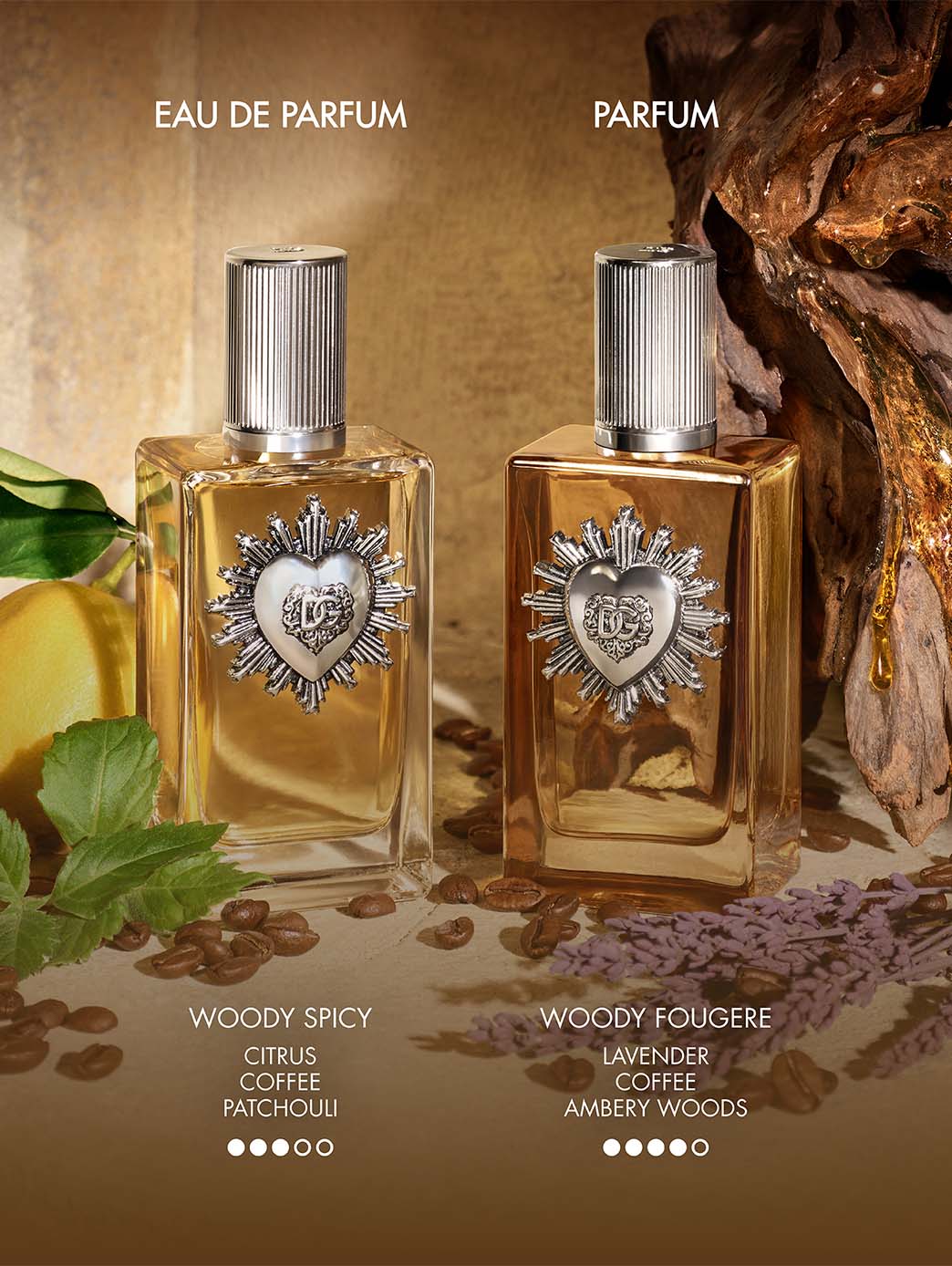 D&G Devotion Pour Homme - Image 10