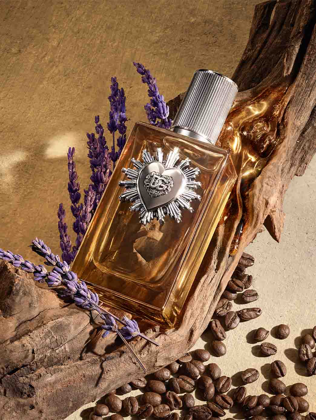 D&G Devotion Pour Homme - Image 4
