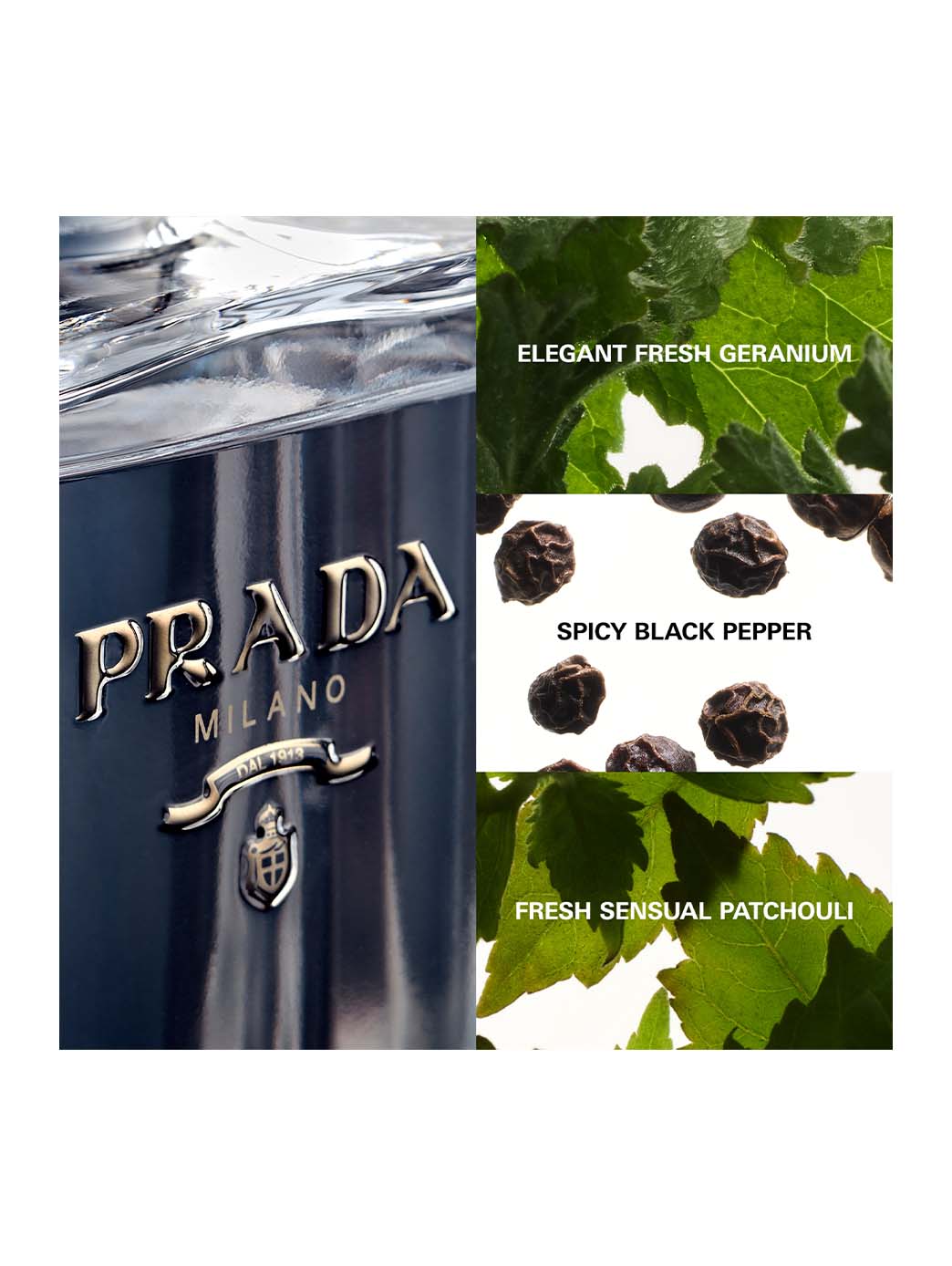 Prada L'Homme - Image 6