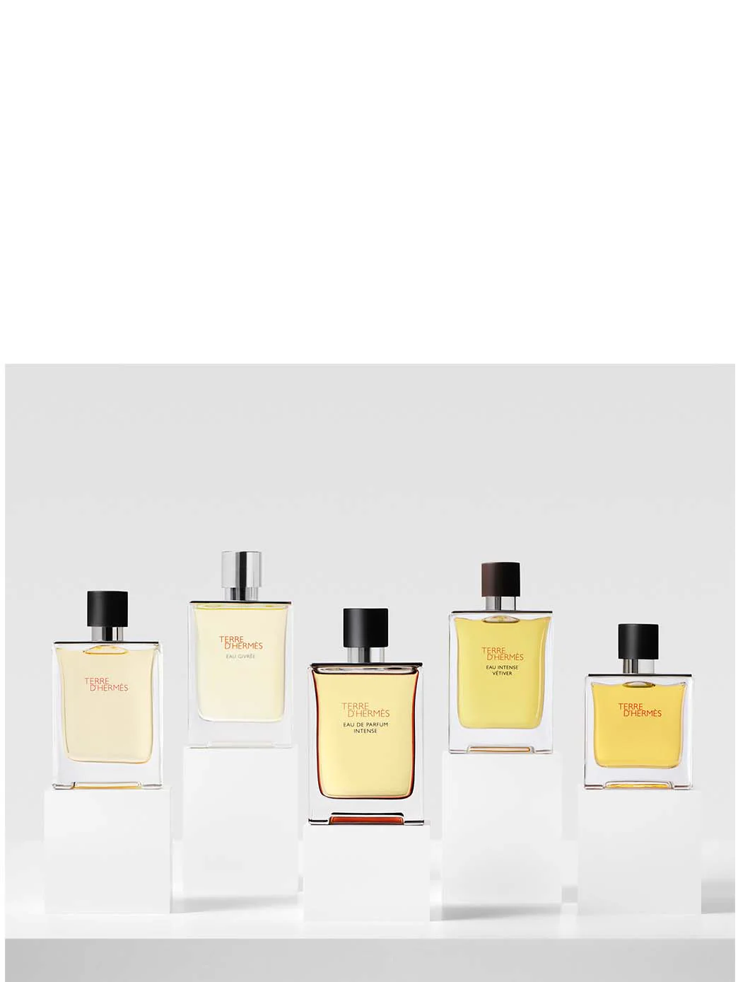 Hermès Terre d'Hermès EDP Intense - Image 12
