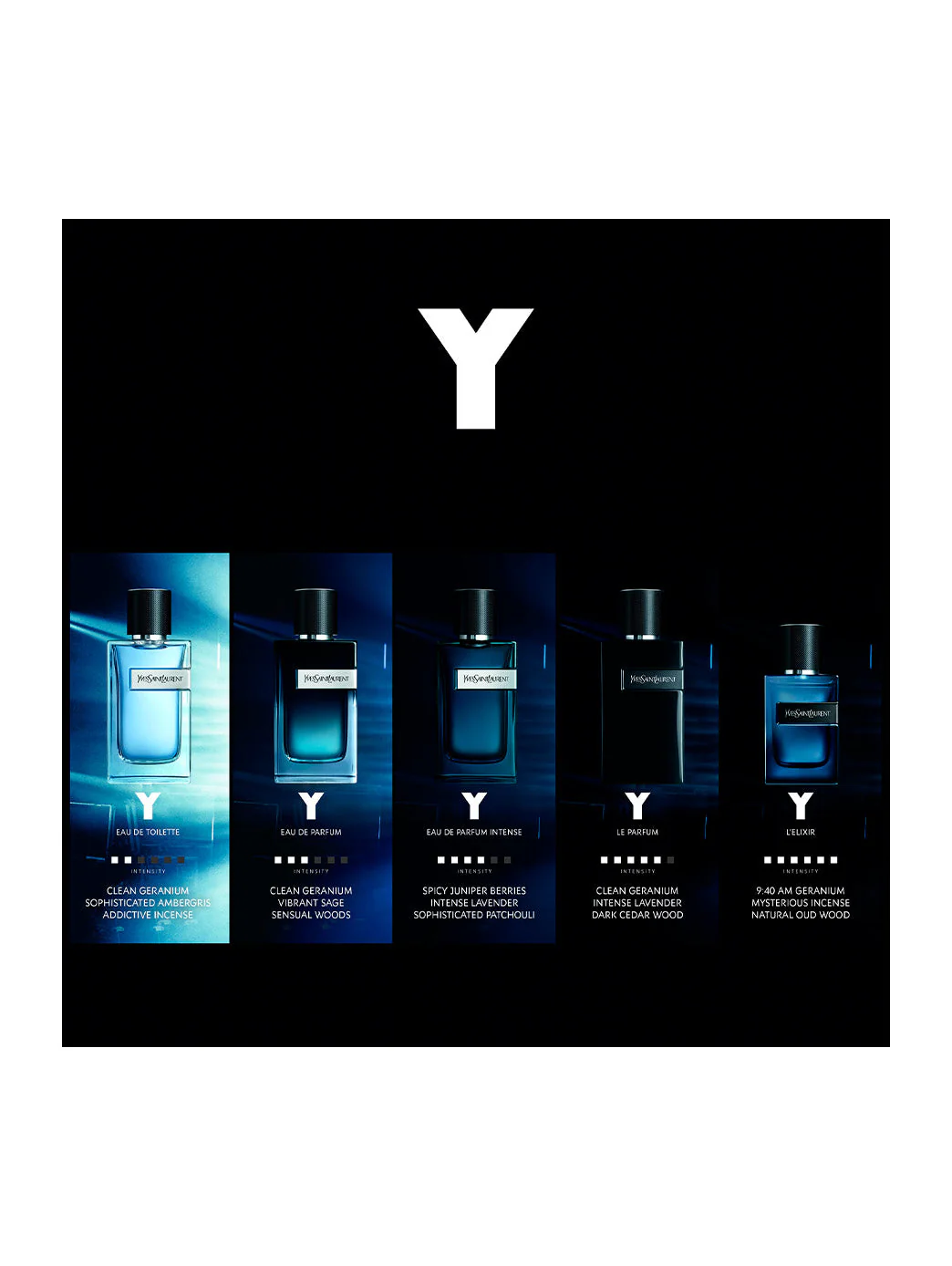 YSL Y EDP - Image 3