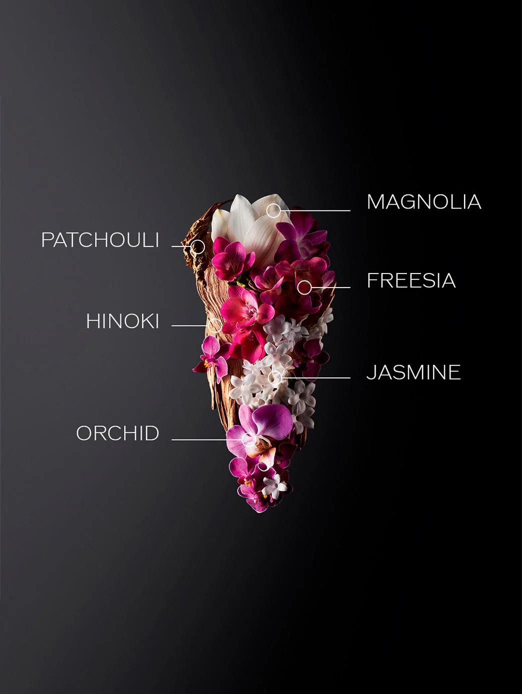Ginza Perfume Mujer