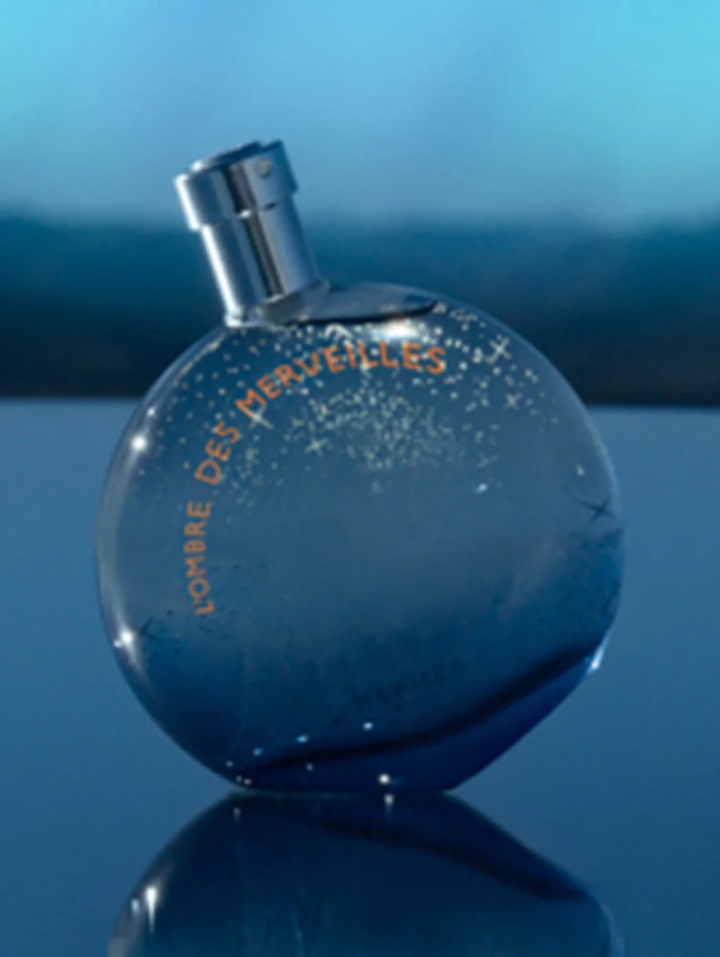 Hermès L'ombre des Merveilles - Image 3
