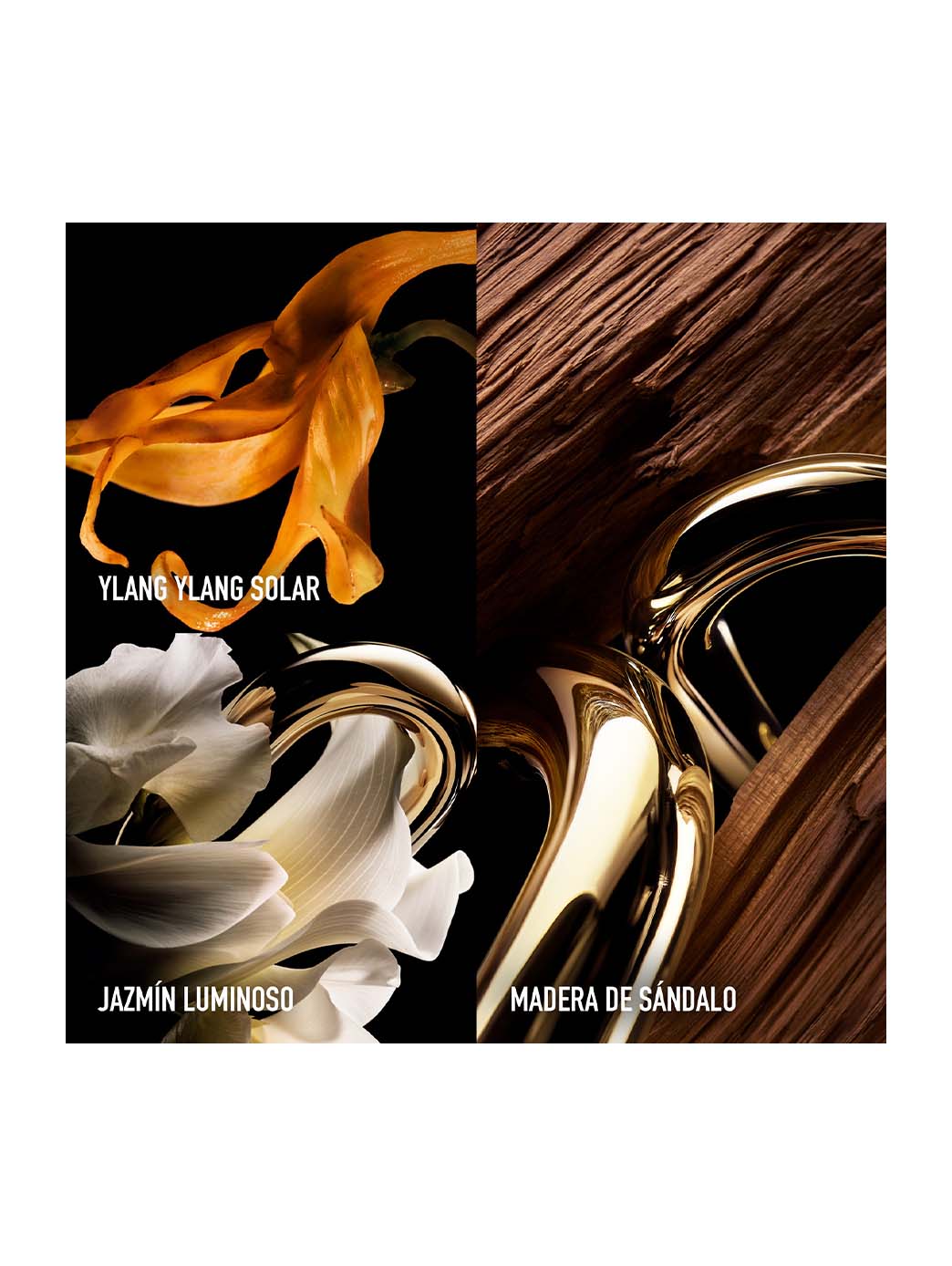 Rabanne Million Gold for Her Parfum - Image 4