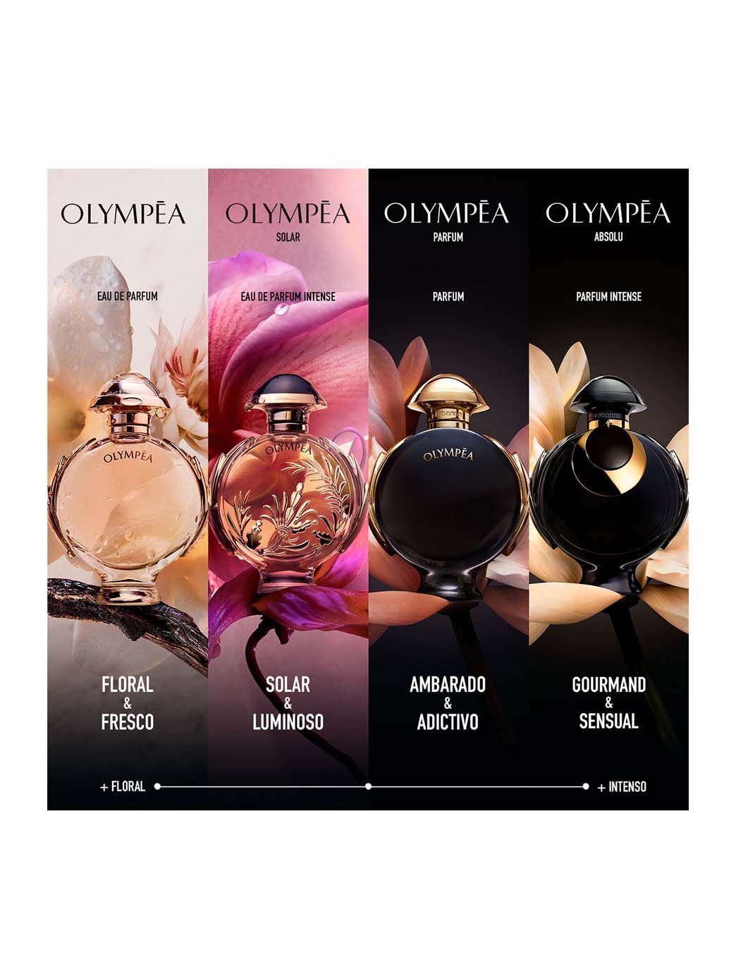 Rabanne Olympéa Absolu - Image 4
