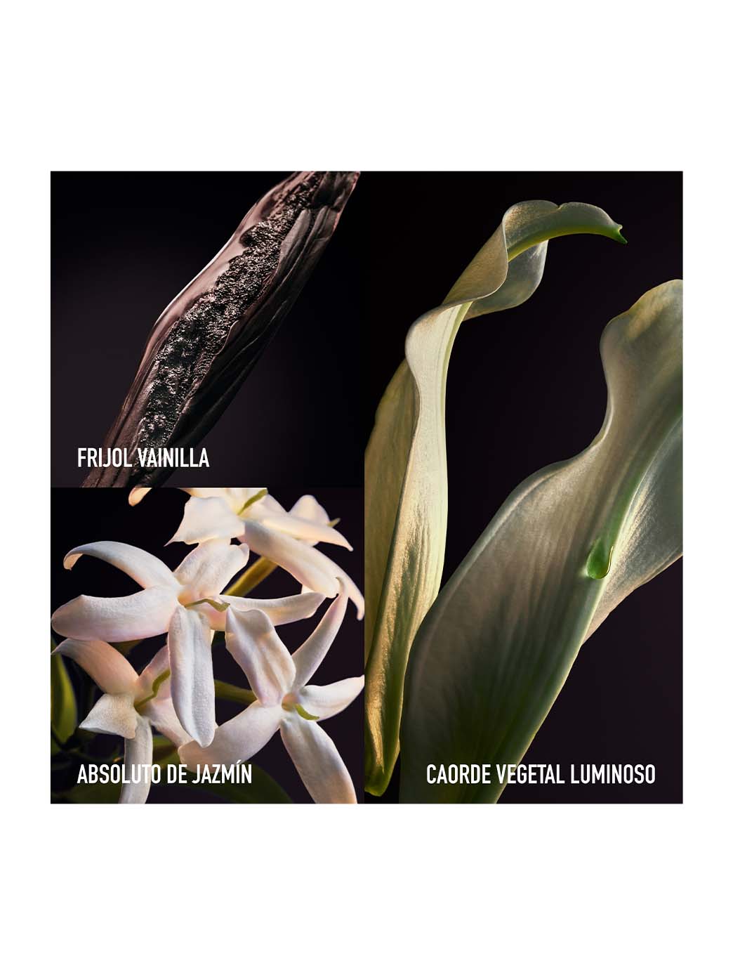 Rabanne Olympéa Parfum - Image 3