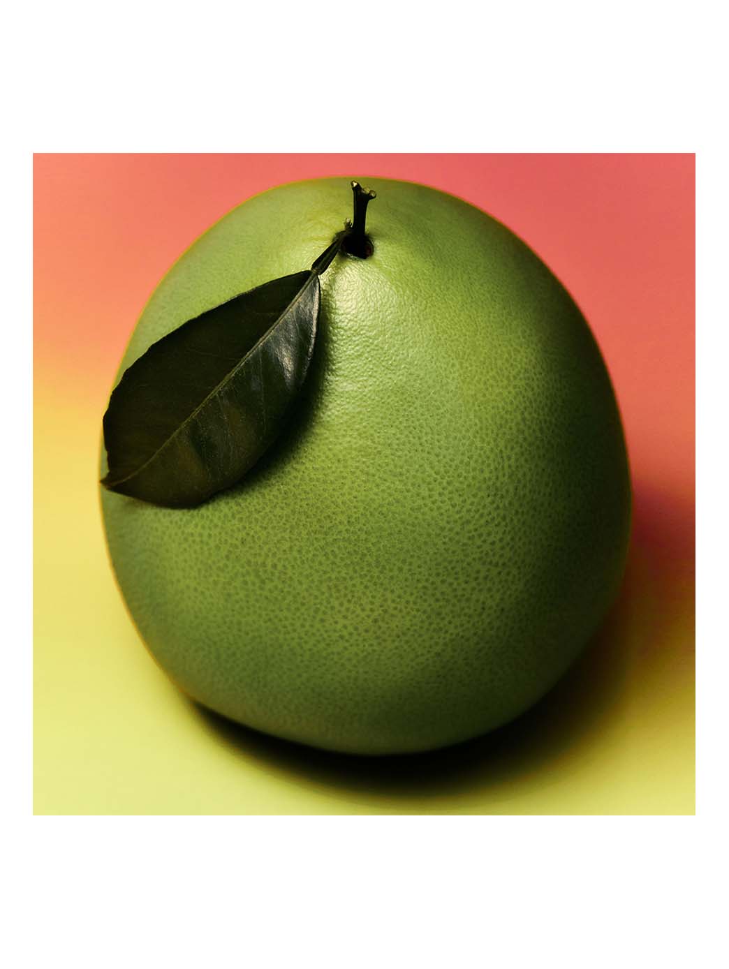 Adolfo Domínguez Pomelo Eau de Toilette - Image 5