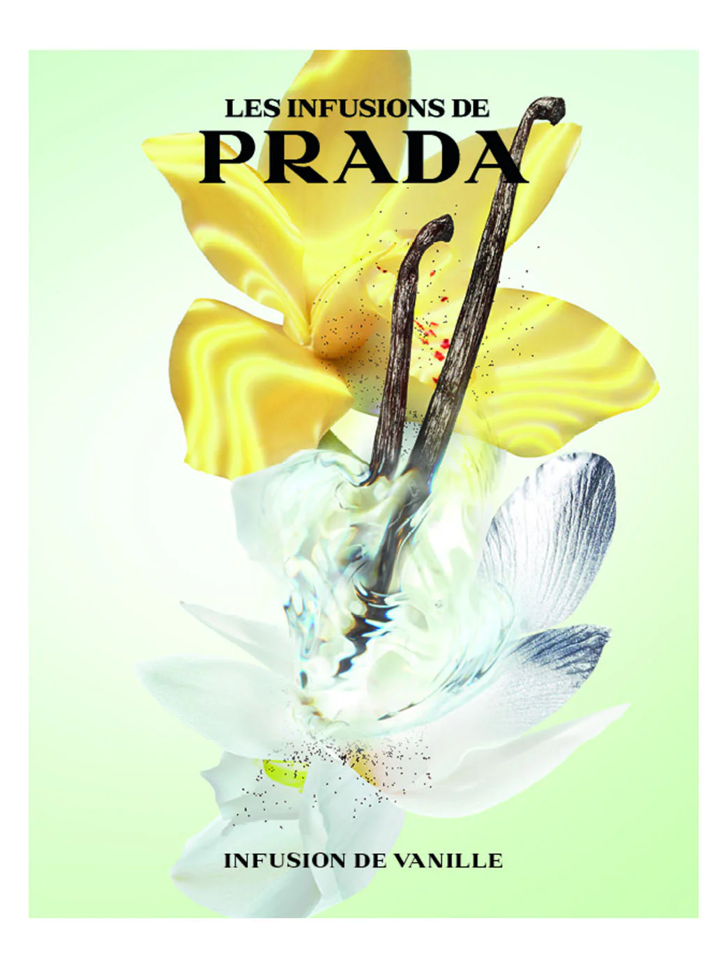 Prada Infusion de Vanille Eau de Parfum - Image 5