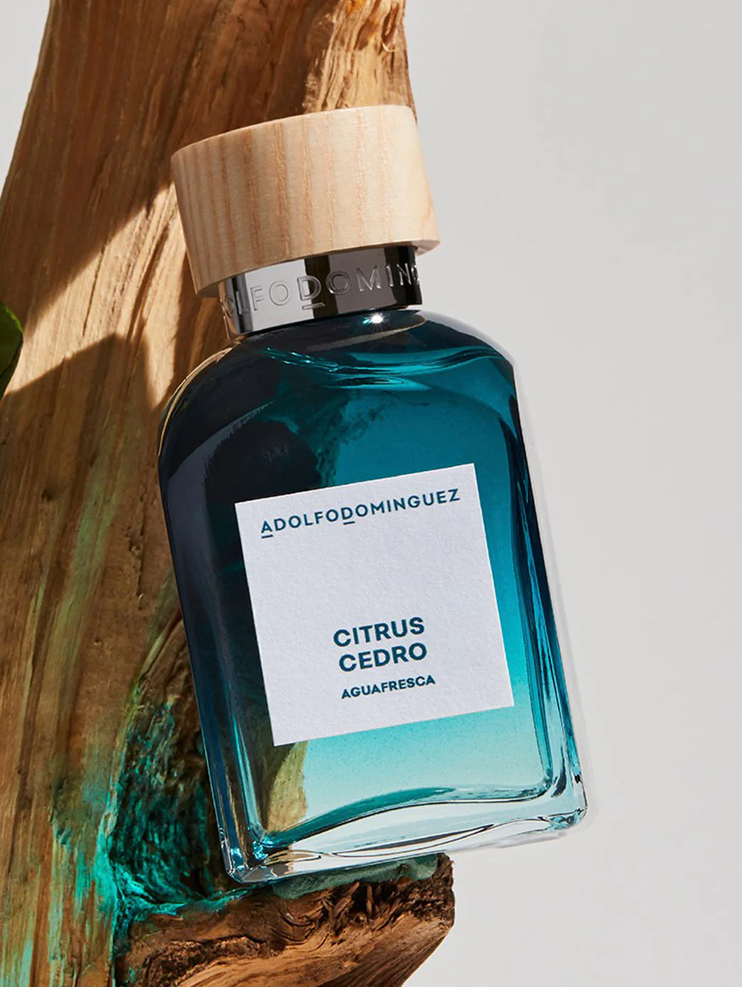 Adolfo Domínguez Citrus cedro - Image 4
