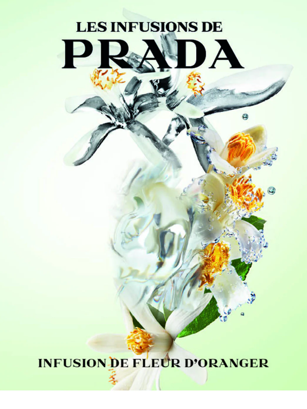 Prada Infusion fleur d'oranger Eau de Parfum - Image 5